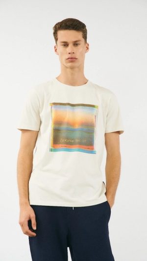 Remera Palisades
