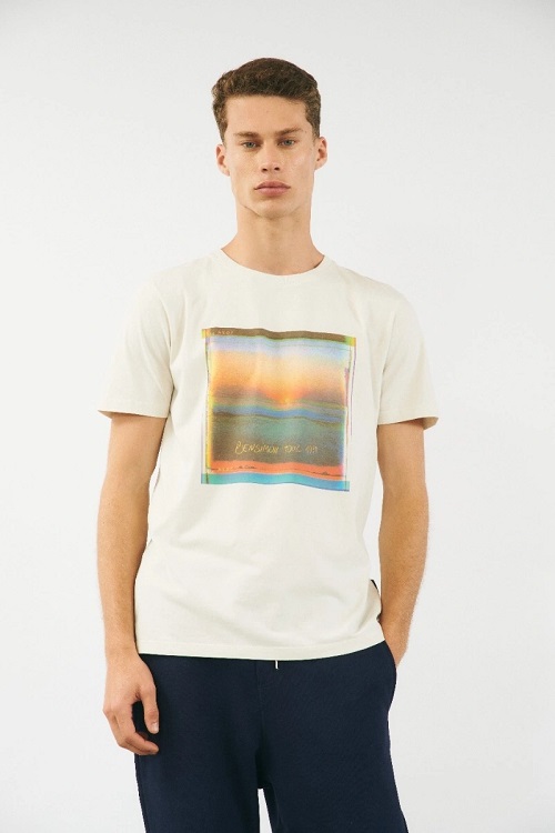 Remera Palisades