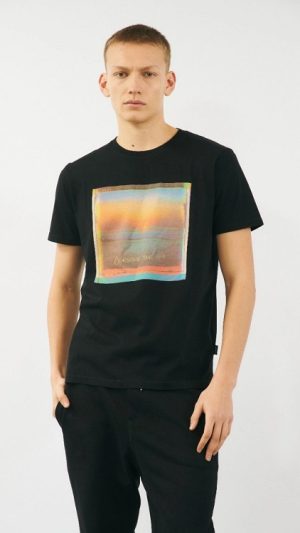 Remera Palisades