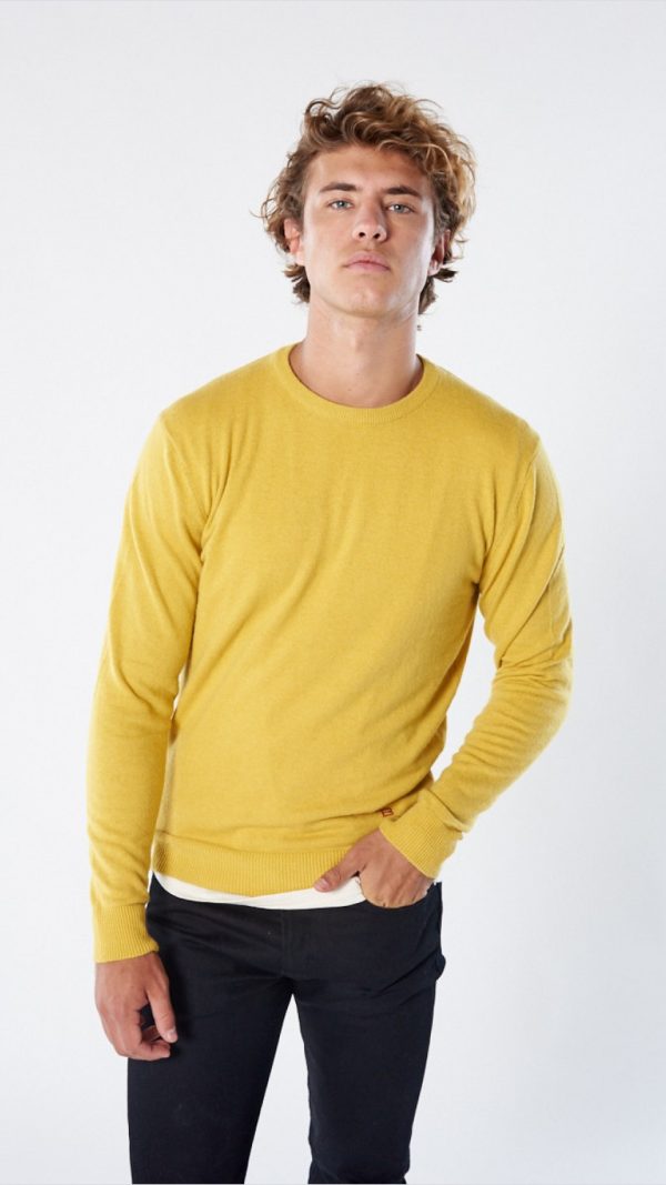 Sweater Toto