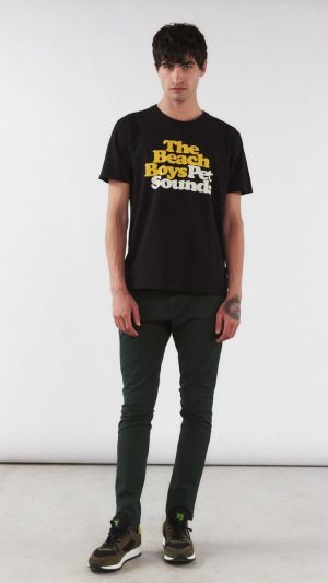 Remera Pet Sounds