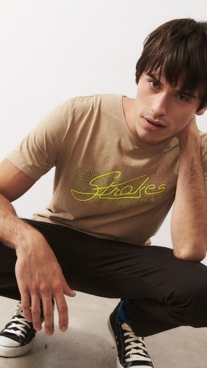 Remera Strokes