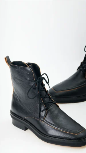 Borcego Harry
