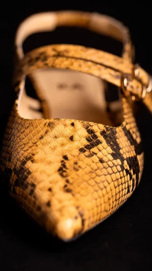 Zapato Stevie