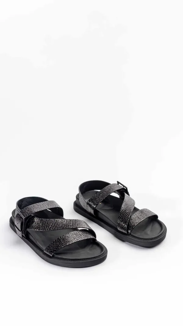 Birk Snake