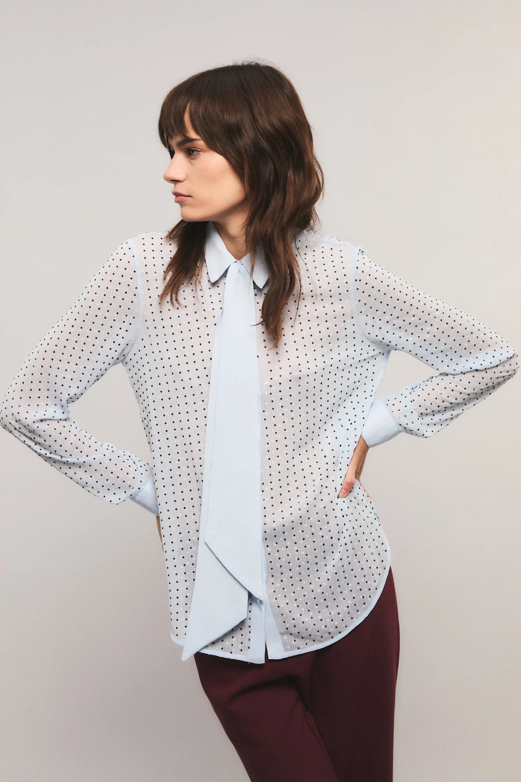 Camisa Crystal Dots